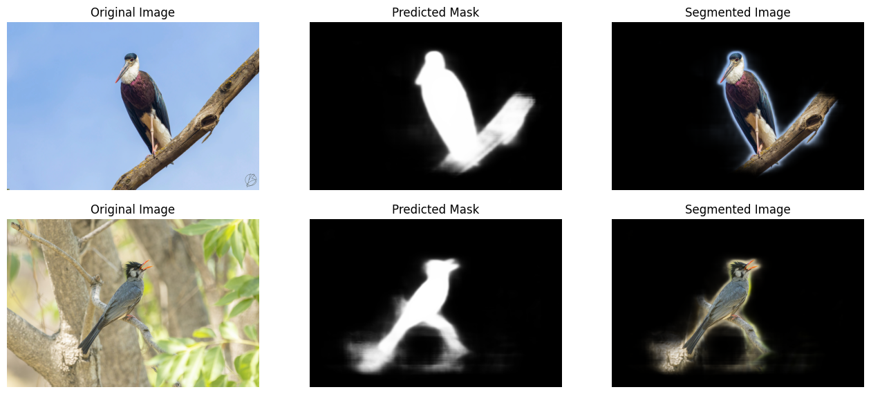 Bird Image Semantic Segmentation