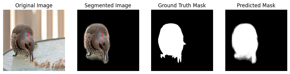 In-domain segmentation result on a North American bird (1 of 3): original image, predicted mask, and segmented overlay