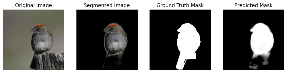 In-domain segmentation result on a North American bird (2 of 3): original image, predicted mask, and segmented overlay