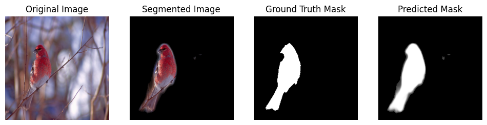 In-domain segmentation result on a North American bird (3 of 3): original image, predicted mask, and segmented overlay