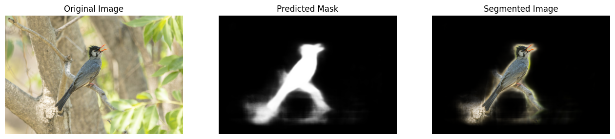 Out-of-domain segmentation result on a bird from the Indian subcontinent (2 of 3): original image, predicted mask, and segmented overlay