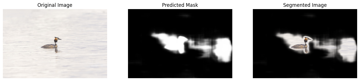 Out-of-domain segmentation result on a bird from the Indian subcontinent (3 of 3): original image, predicted mask, and segmented overlay