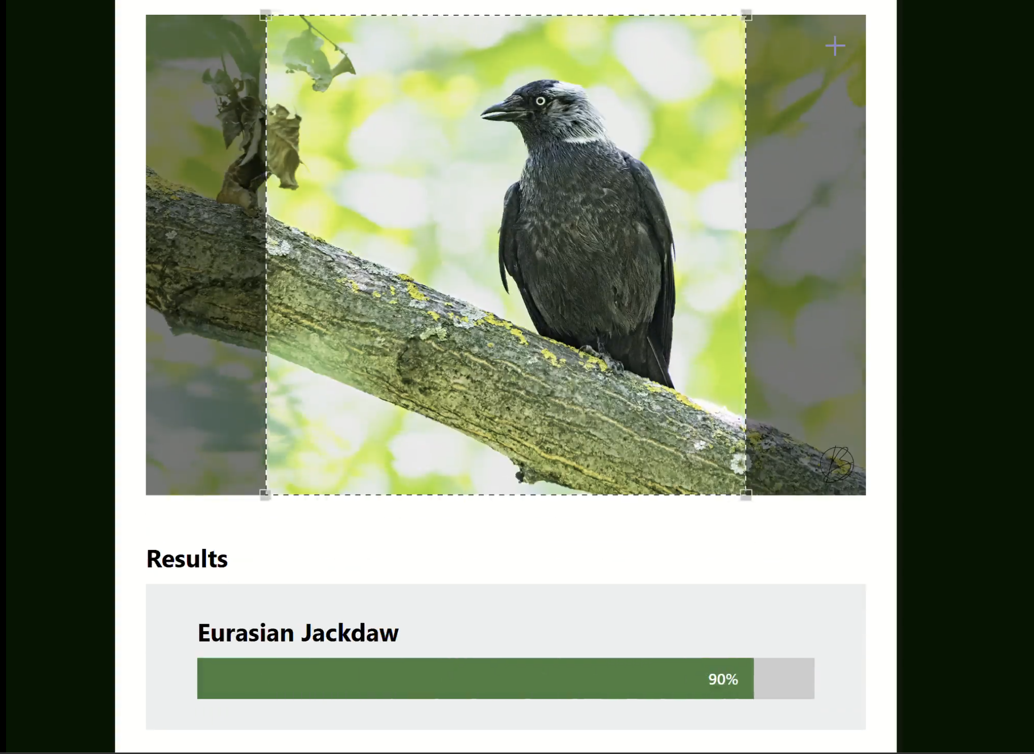 Birdly Bird Identifier