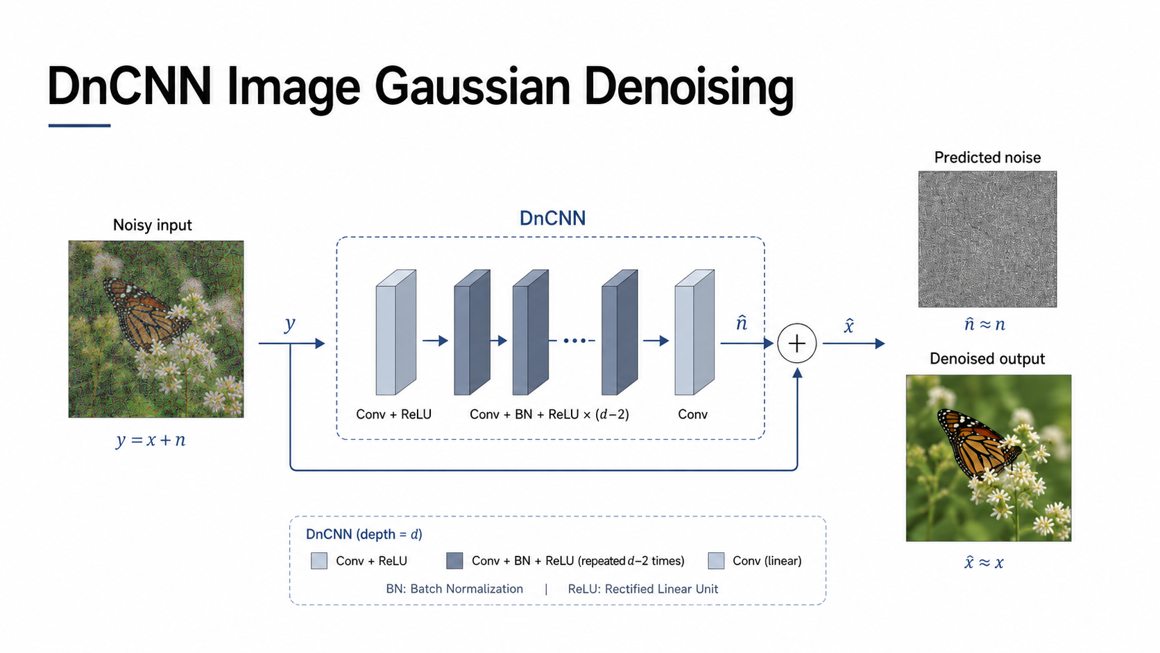 DnCNN Image Gaussian Denoising